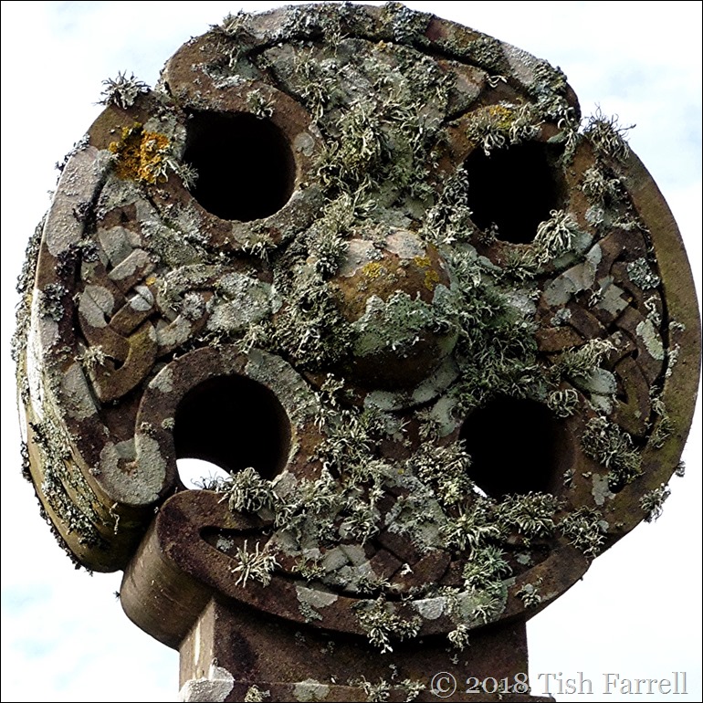 P1040670sq P1040670sq