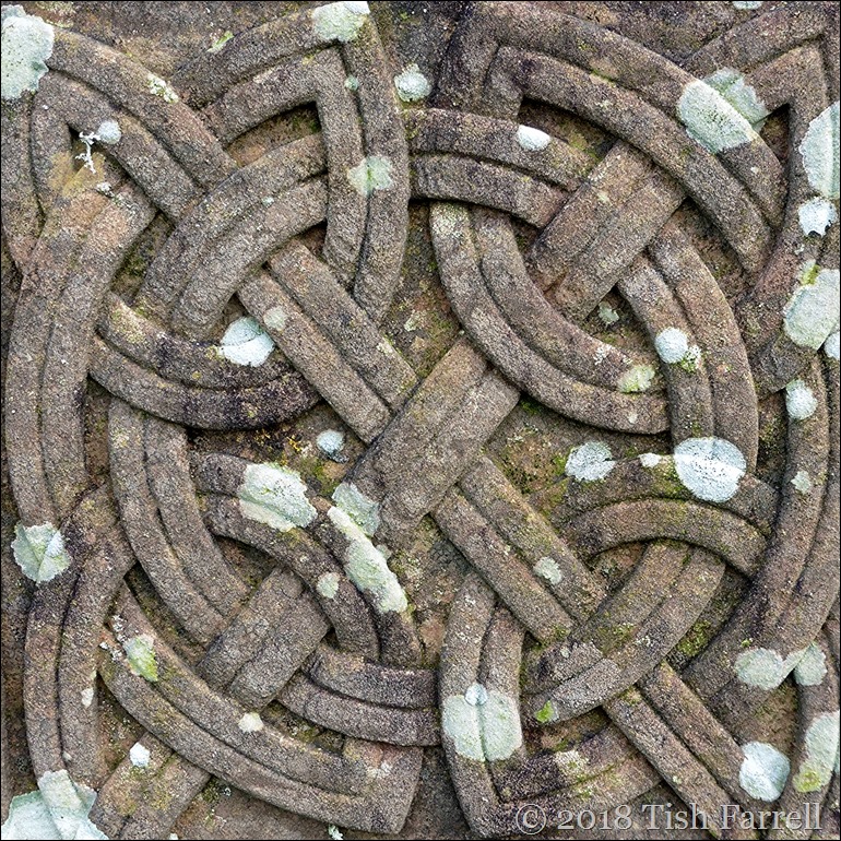 P1040673 square P1040673 square