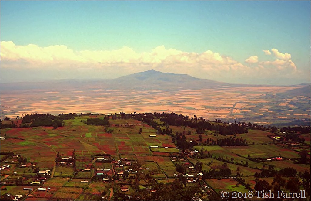 Scan-130429-0154 (2) zoom out