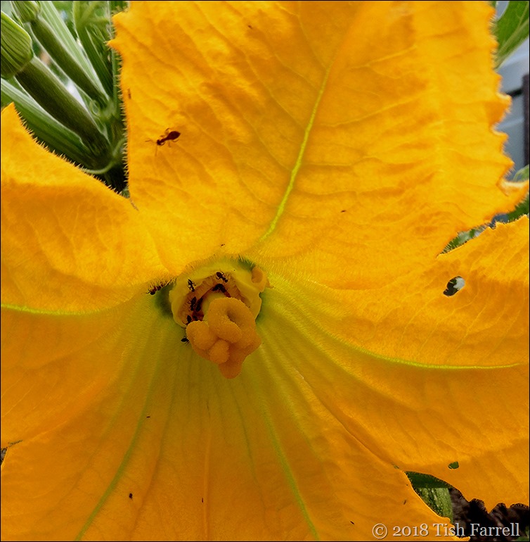 P1070513cr P1070513cr