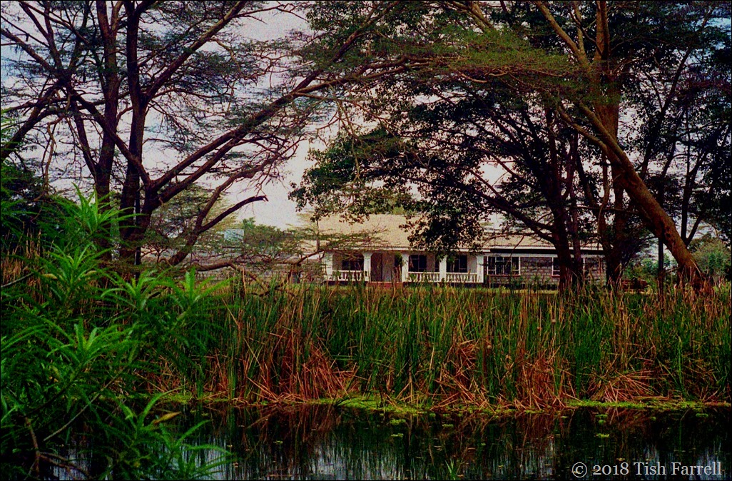 Politician's house across the pool