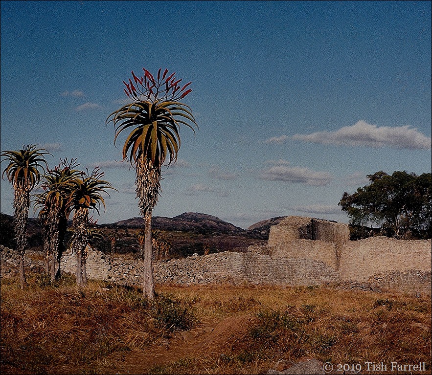 Great Zimbabawe