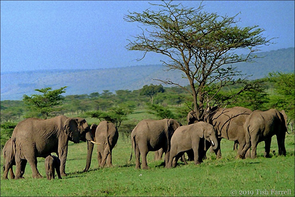 Scan-131109-0032 Scan-131109-0032