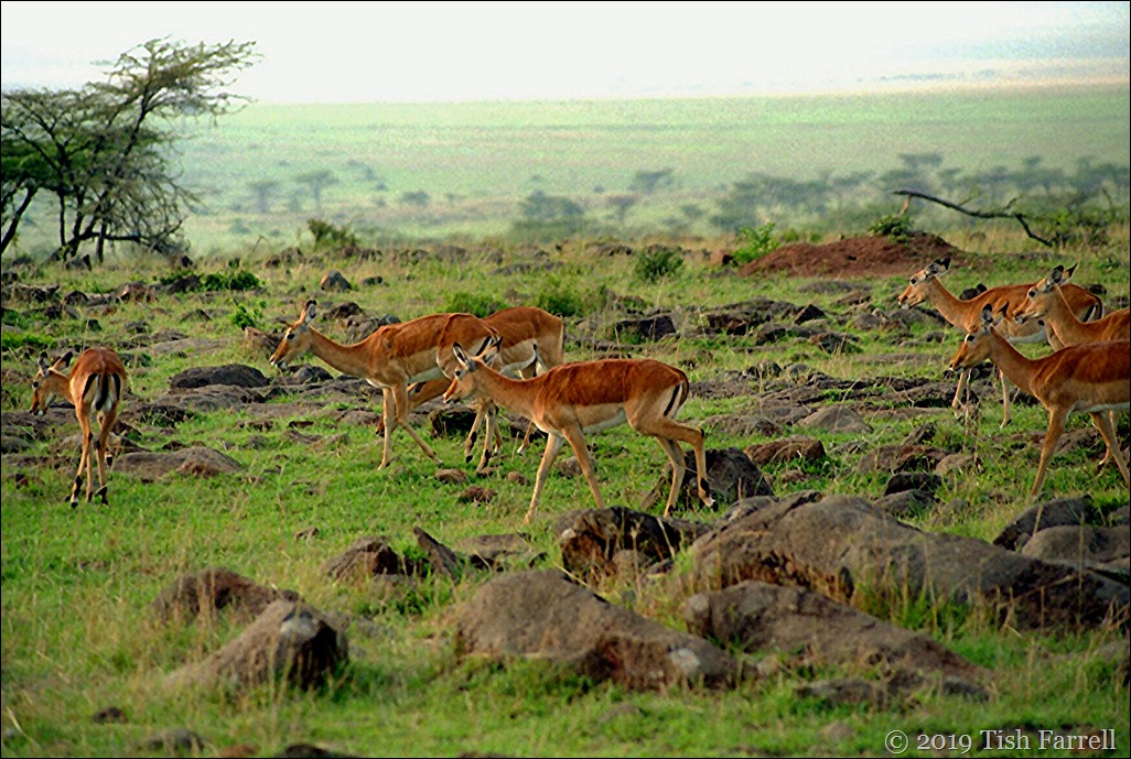 Scan-131114-0001 Scan-131114-0001