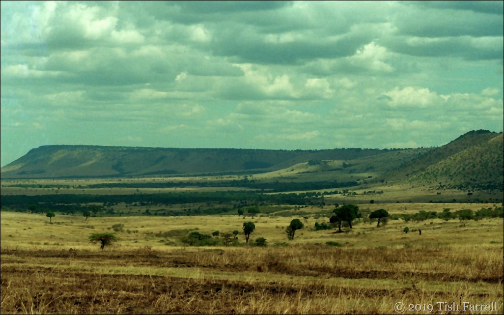 Scan-140726-0014 (2) Scan-140726-0014 (2)