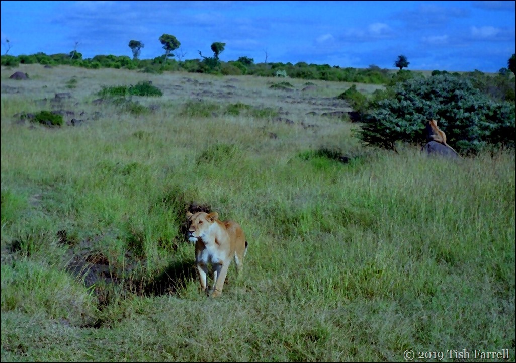 Scan-140731-0030 (2) Scan-140731-0030 (2)