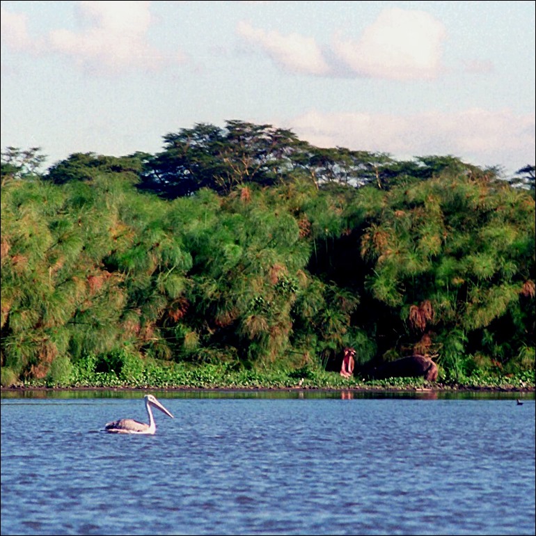 Scan-130716-0008 (11)