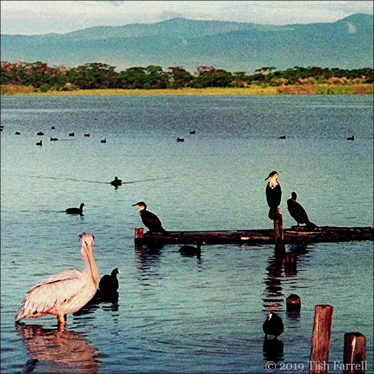 Scan-130716-0012 (7)