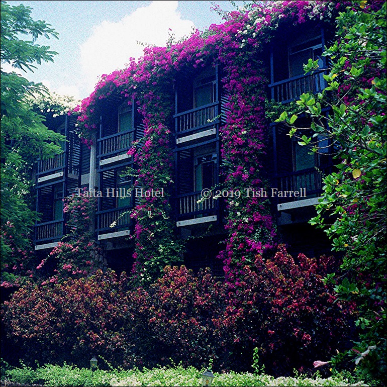 Taita Hilton - safari vans come and go