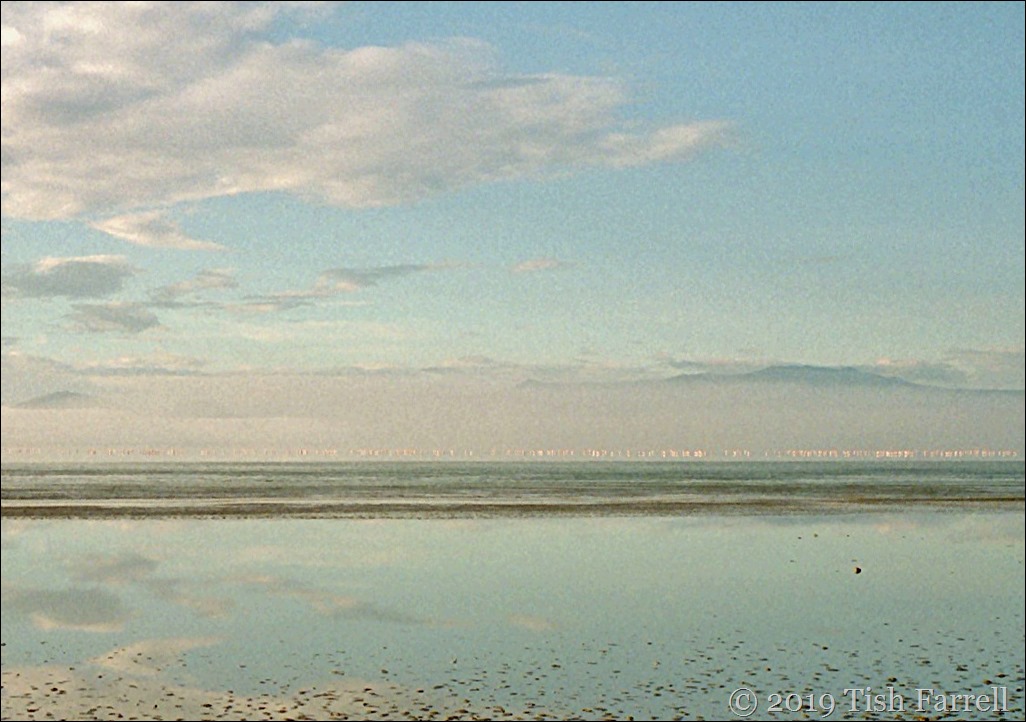 Scan-130601-0003