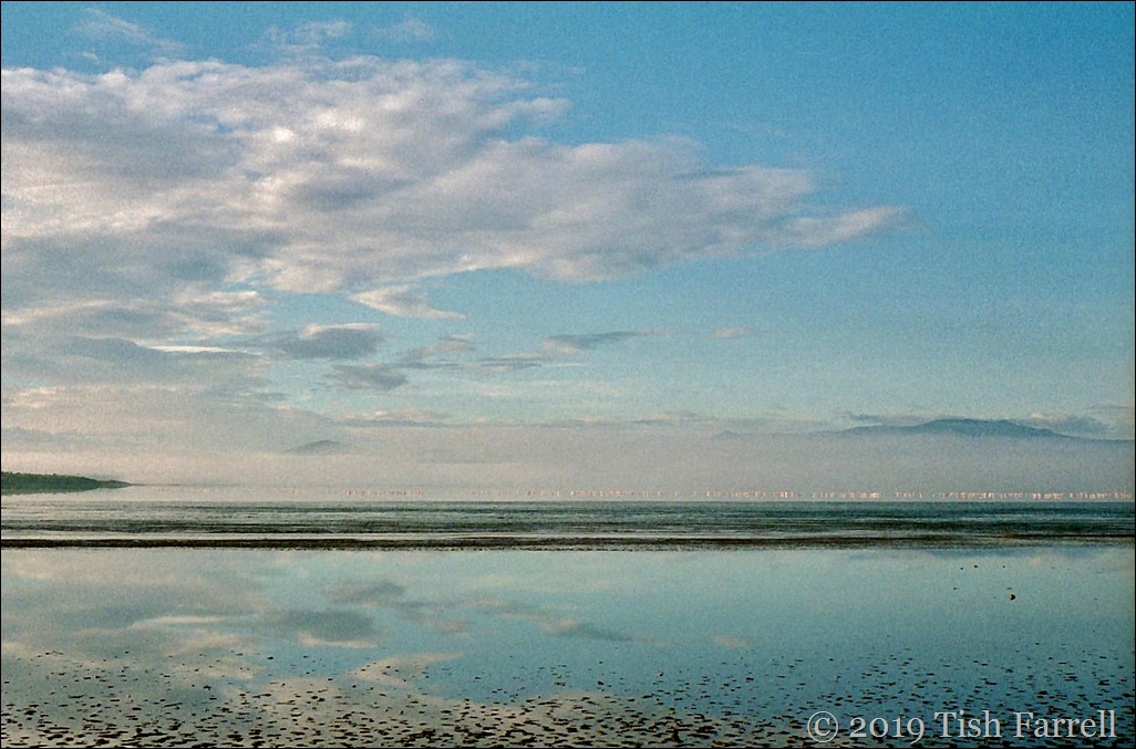 Scan-130601-0004