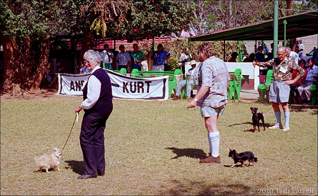 Lusaka agricultural show - Dog Show