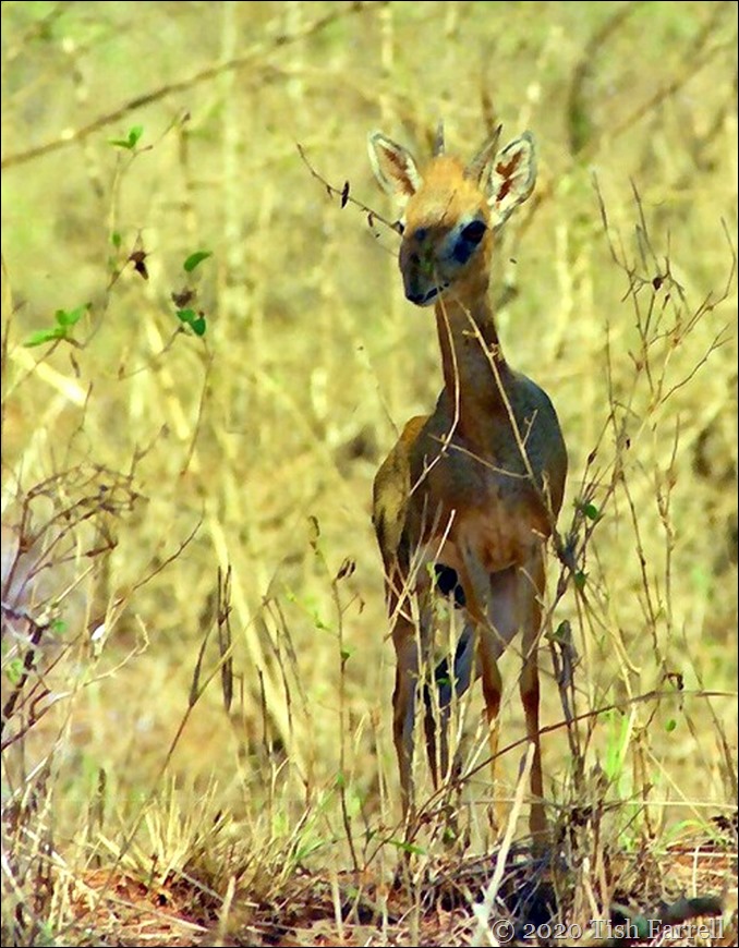 scan-140504-0005resized