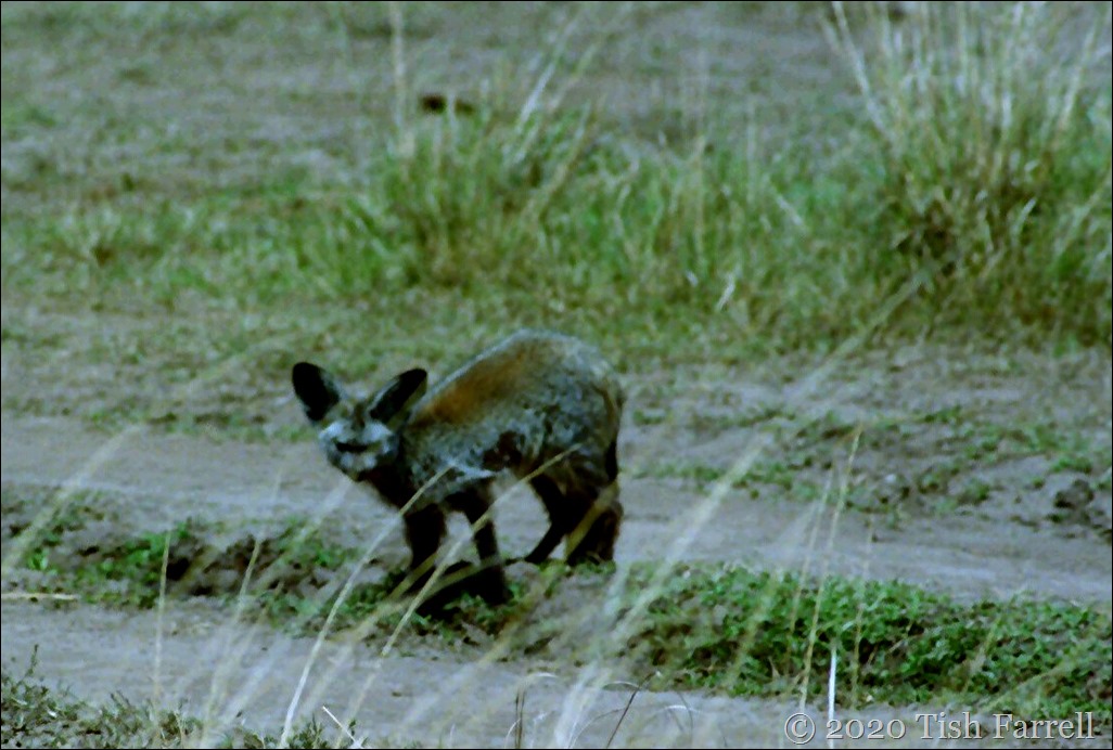 Scan-140726-0025 (2)