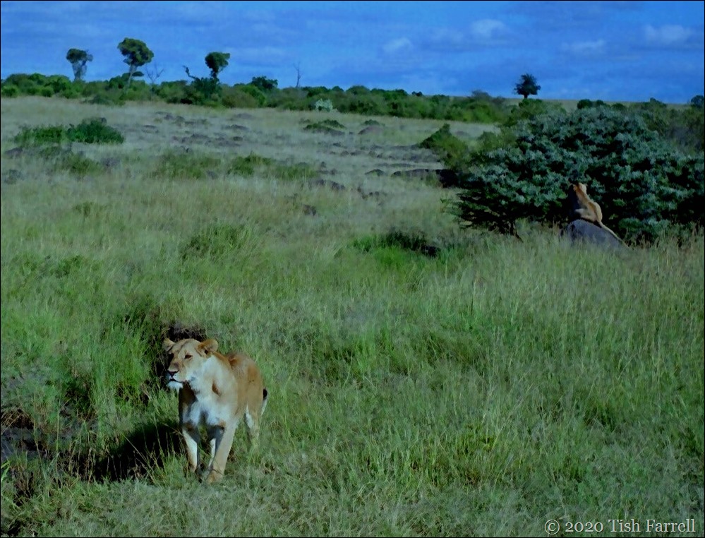 Scan-140731-0030 (2)