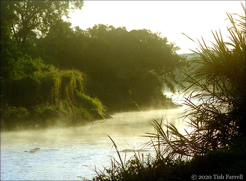 Scan-140826-0037jpeg