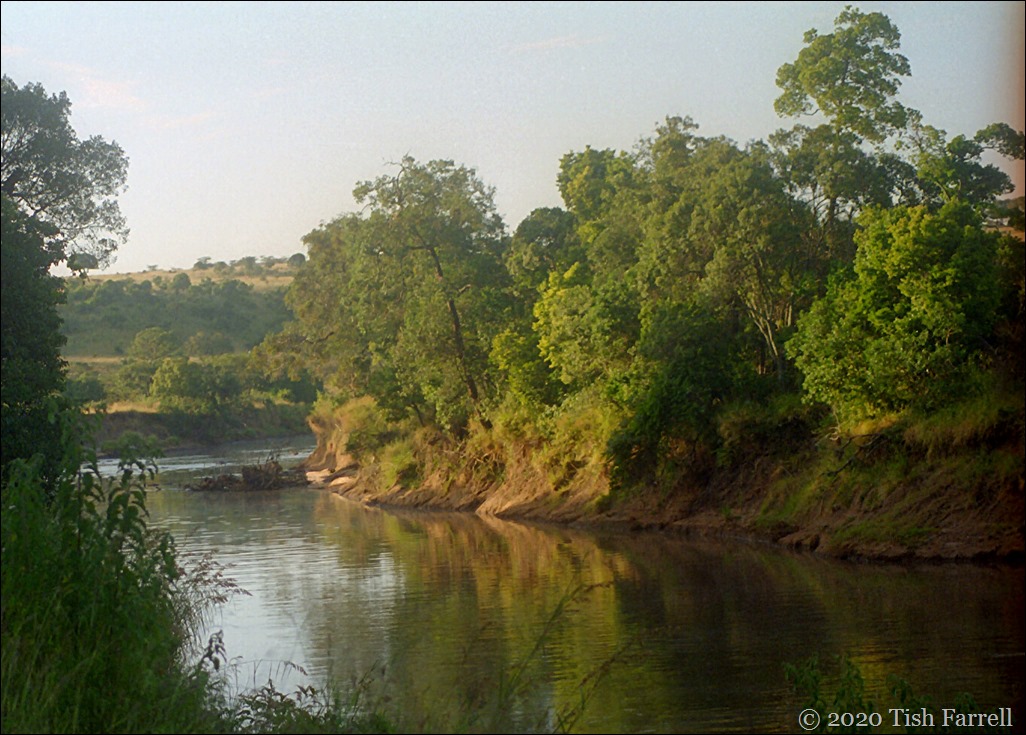 Scan-140826-0039jpeg