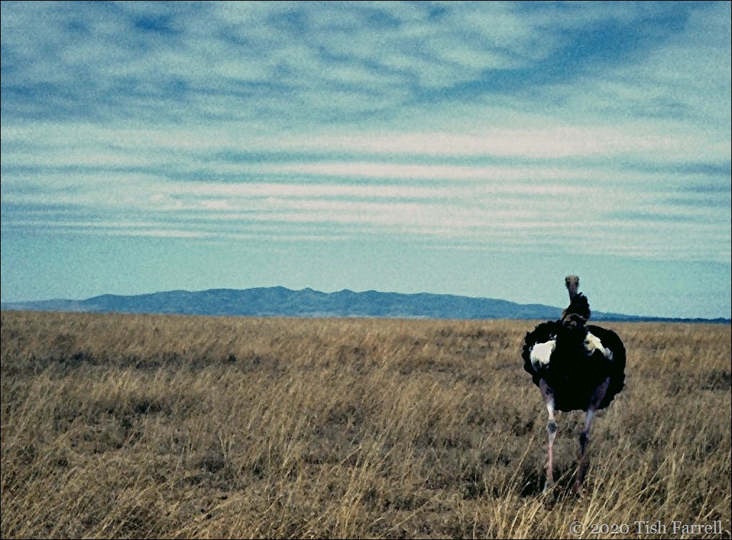 horizontal Scan-130519-0002