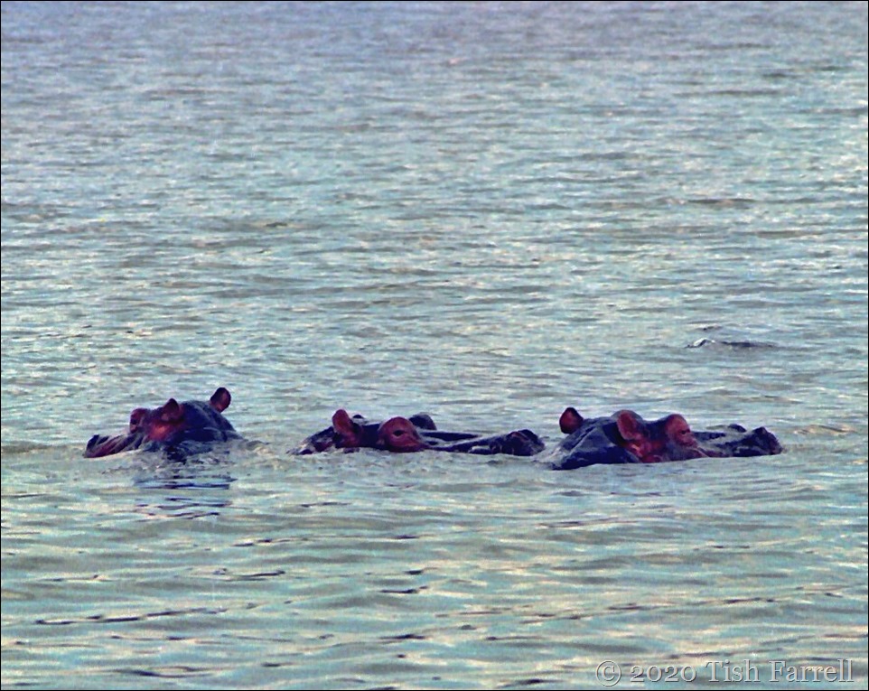 Horizontal Scan-130716-0011 (3)