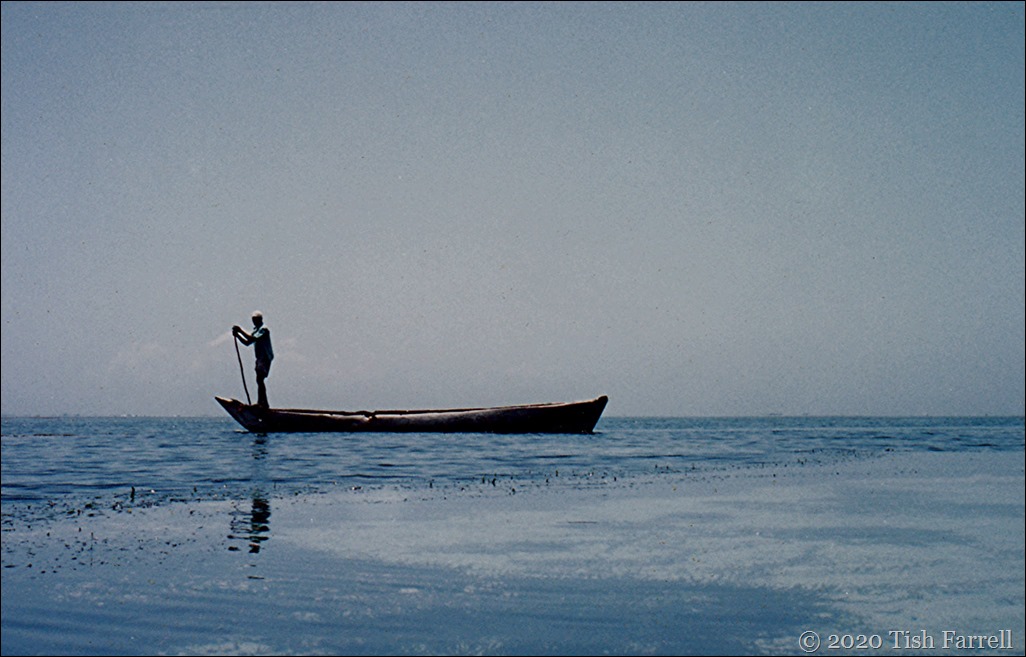 IMG_0008 on the reef