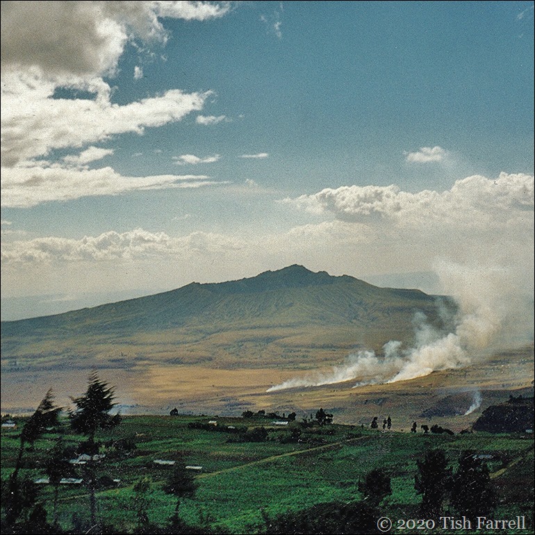 IMG_0026sq