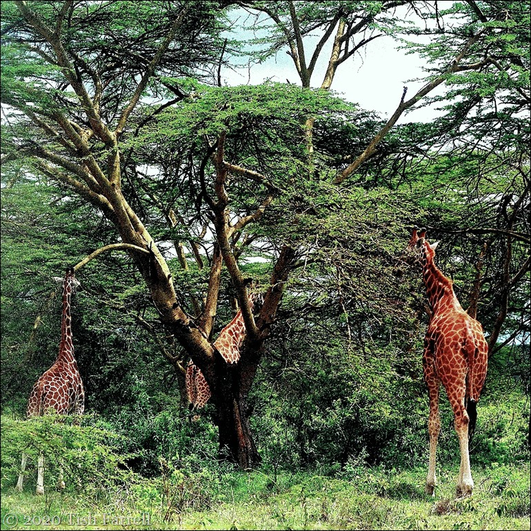 Scan-130603-0004 - Copy