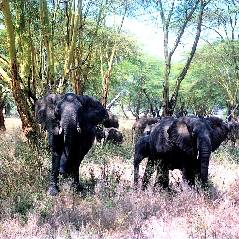 Scan-130608-0001 - Copy