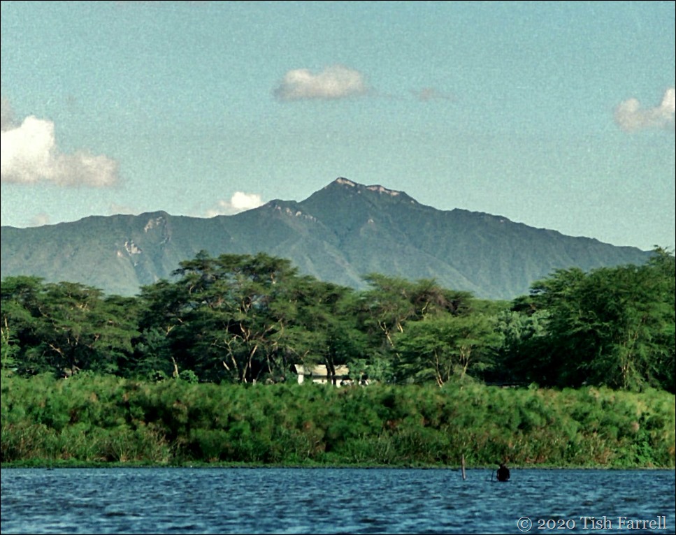 Scan-130716-0008 (3)cr