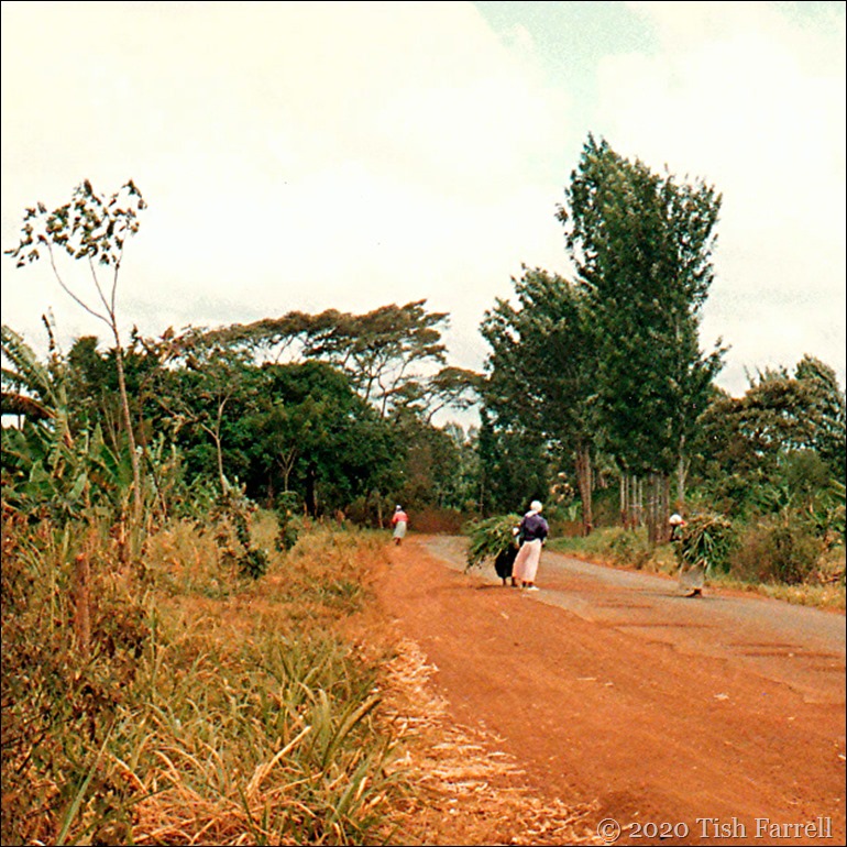 women and animal fodder