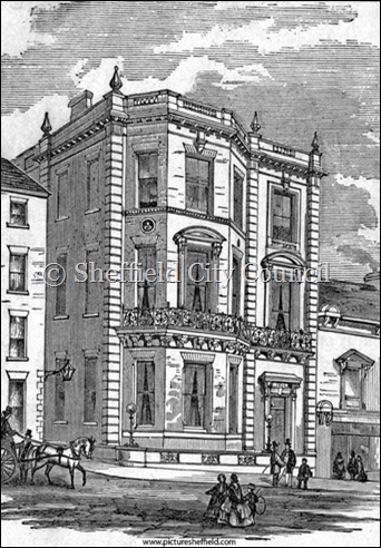 Sophia Fox Sheffield Club