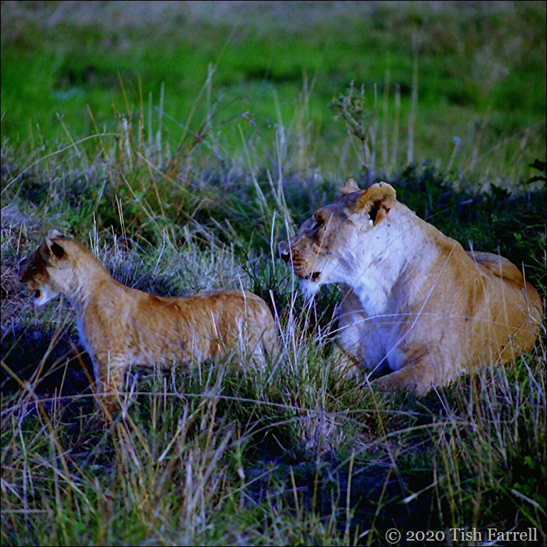 sq Scan-140726-0006 (9)