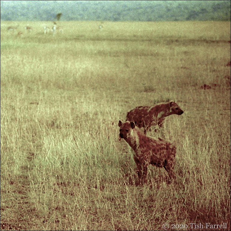 sq Scan-140826-0005jpeg