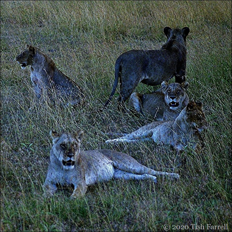 sq Scan-140826-0008jpeg - Copy