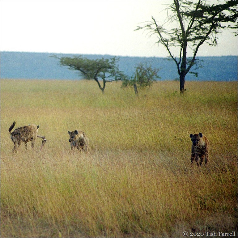 sq Scan-140826-0026jpeg