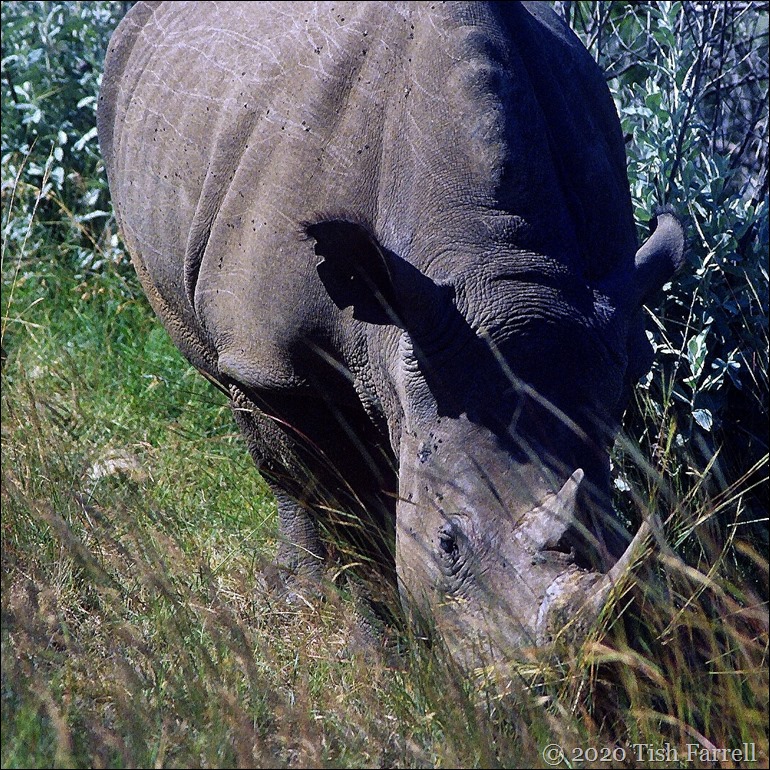 sq Scan-140827-0009jpeg