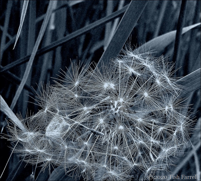 100_5549 - Copy 100_5549 - Copy