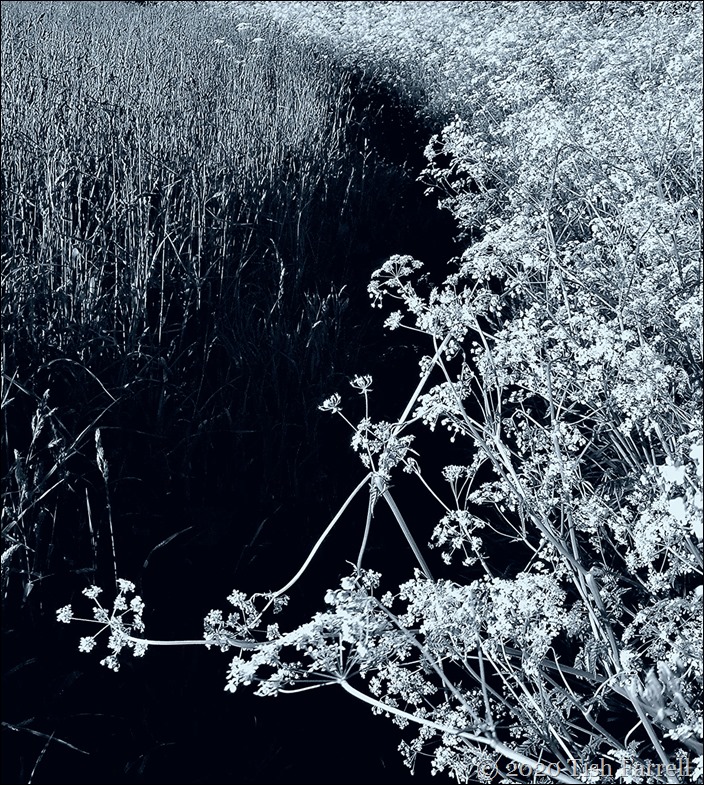 100_5622cr 100_5622cr