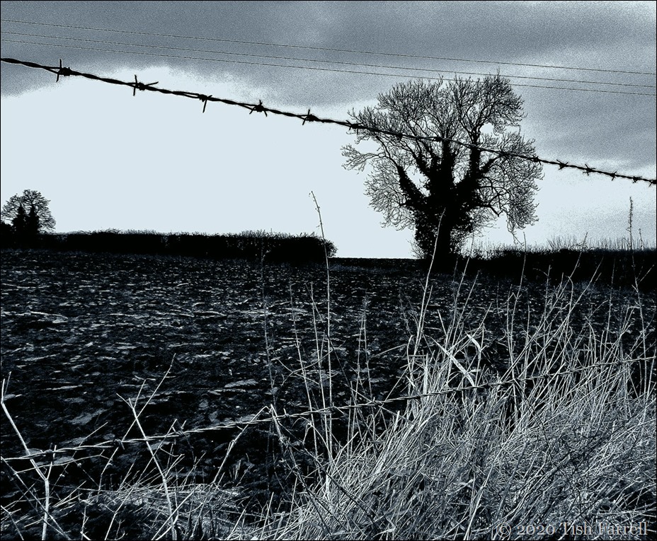 P1000562 - Copy P1000562 - Copy