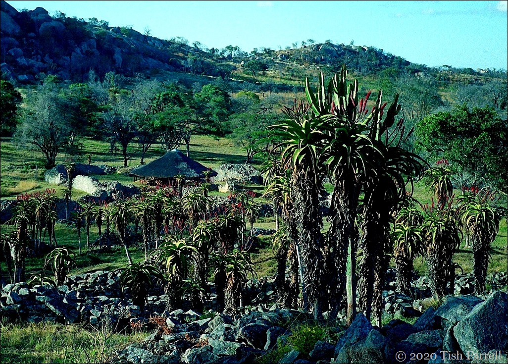 Great Zimbabwe general view Great Zimbabwe general view