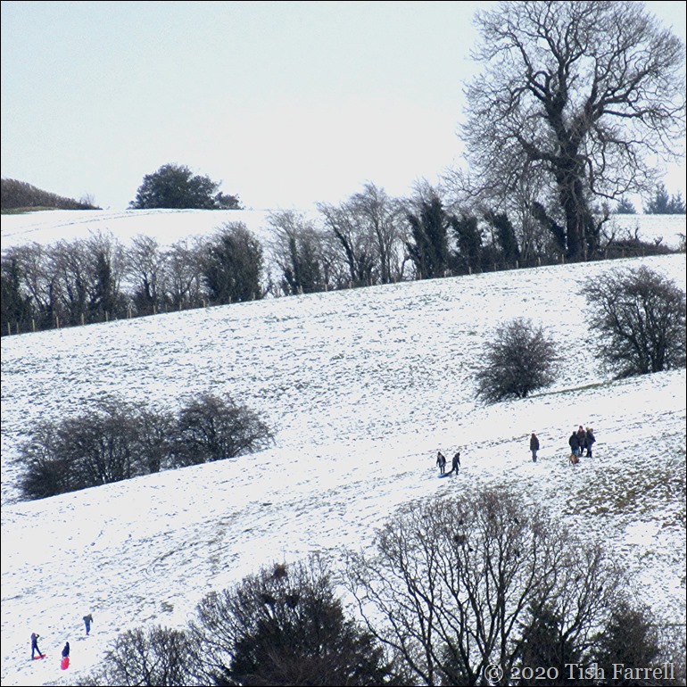 IMG_1557