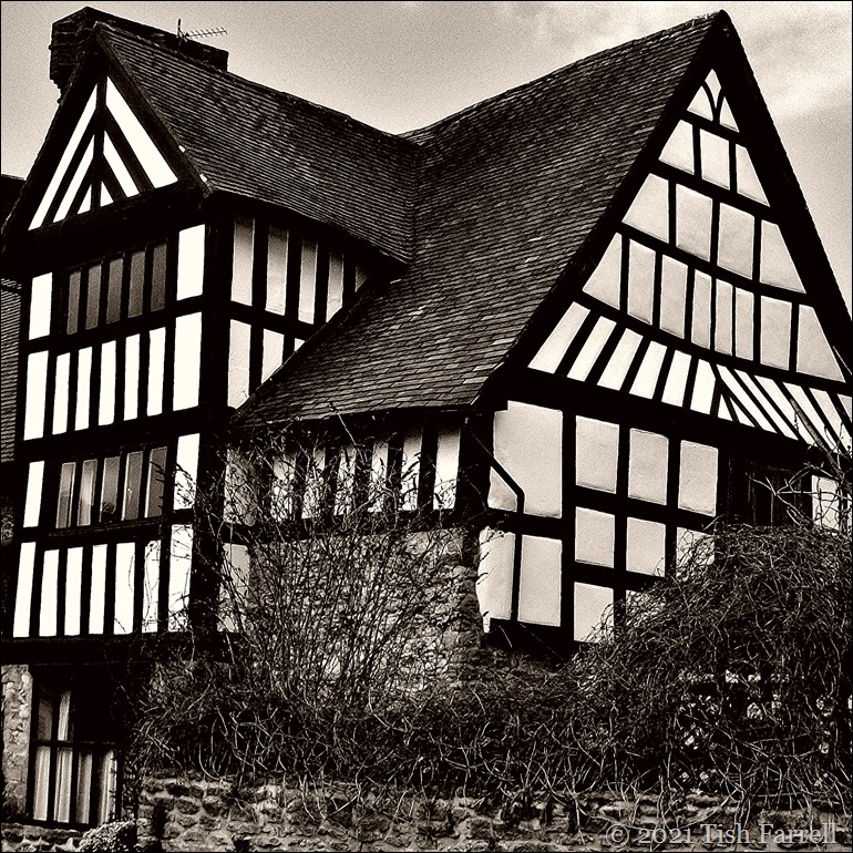 100_3612cr 100_3612cr