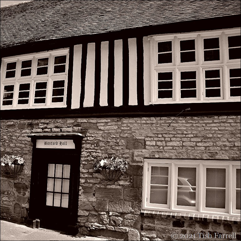 100_6031 (2) 100_6031 (2)