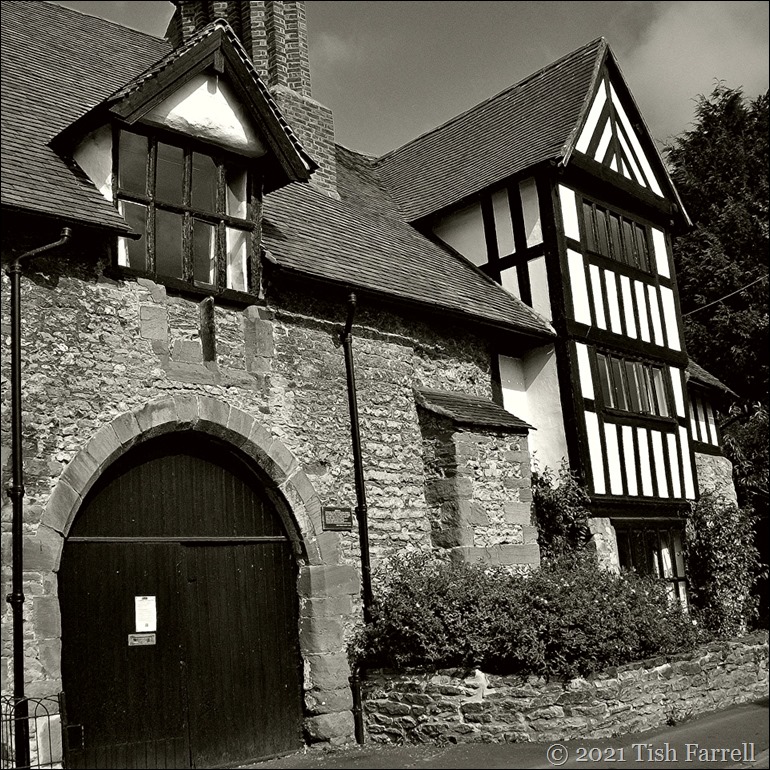 100_6387sq 100_6387sq