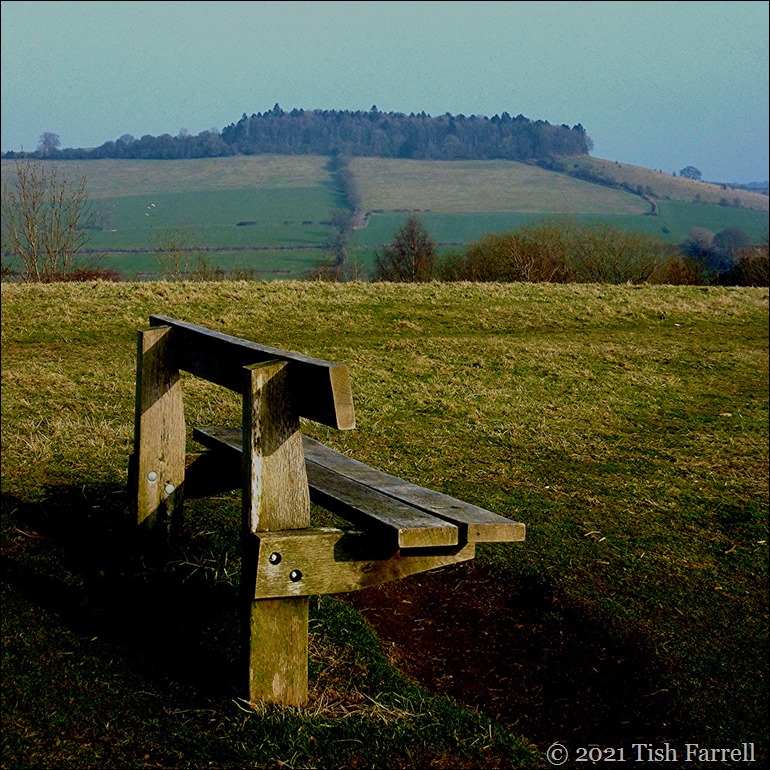 P1000684 sq