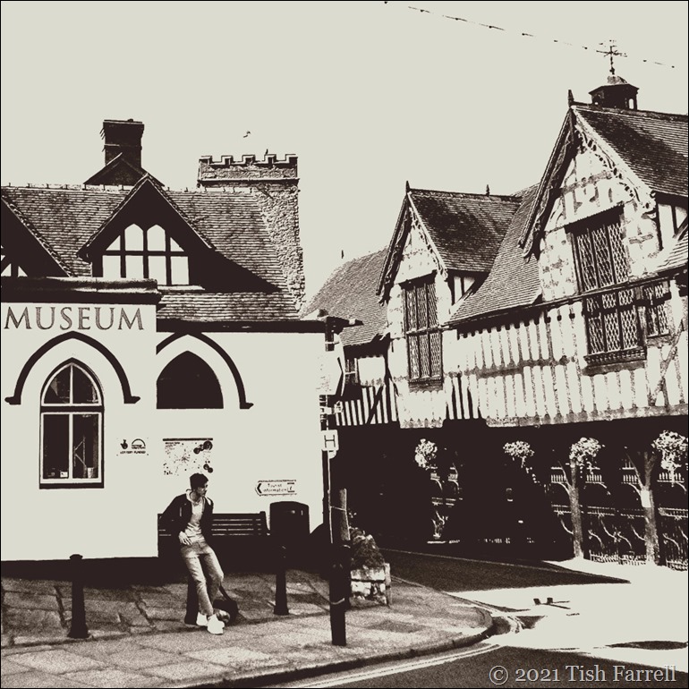 P1010699sq P1010699sq