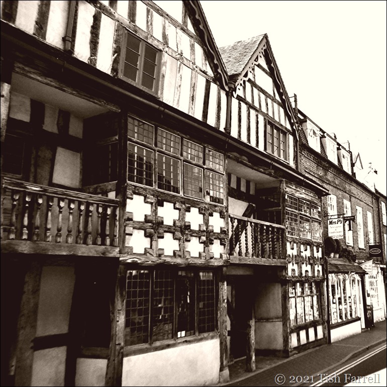 P1010717sq P1010717sq