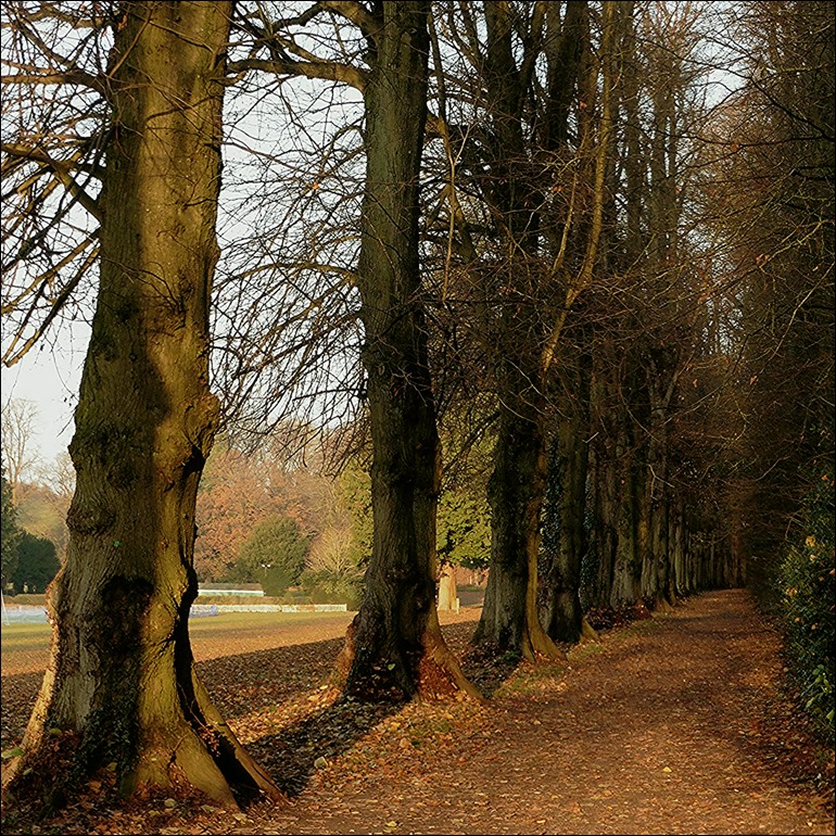 P1100161sq