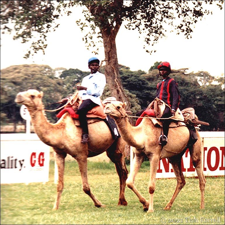 races_0004 - Copy (4)sq