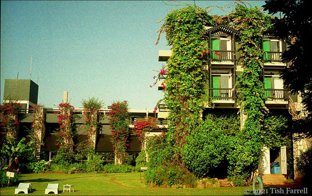Taita Hilton pool terrace