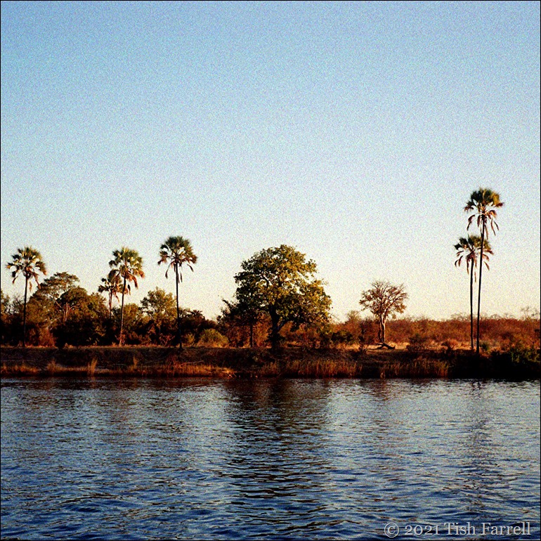 Zambezi sundowner trip